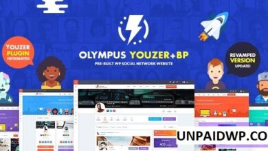 Olympus WordPress Theme Free Download